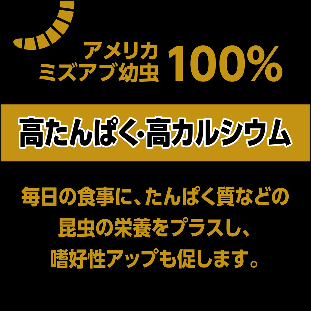 RepDeliバグプレミアムパウダー45g　ジェックス