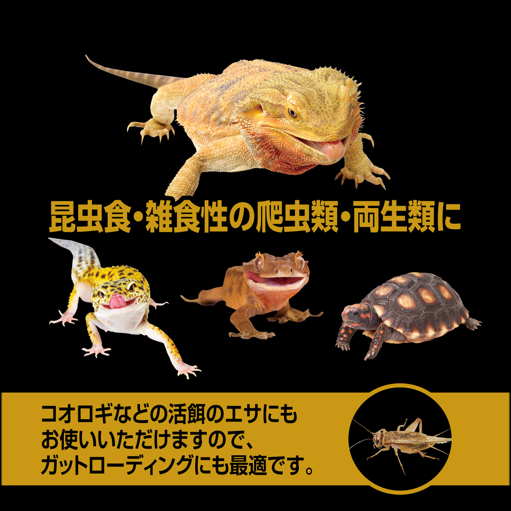 RepDeliバグプレミアムパウダー45g　GEX　EXOTERRA