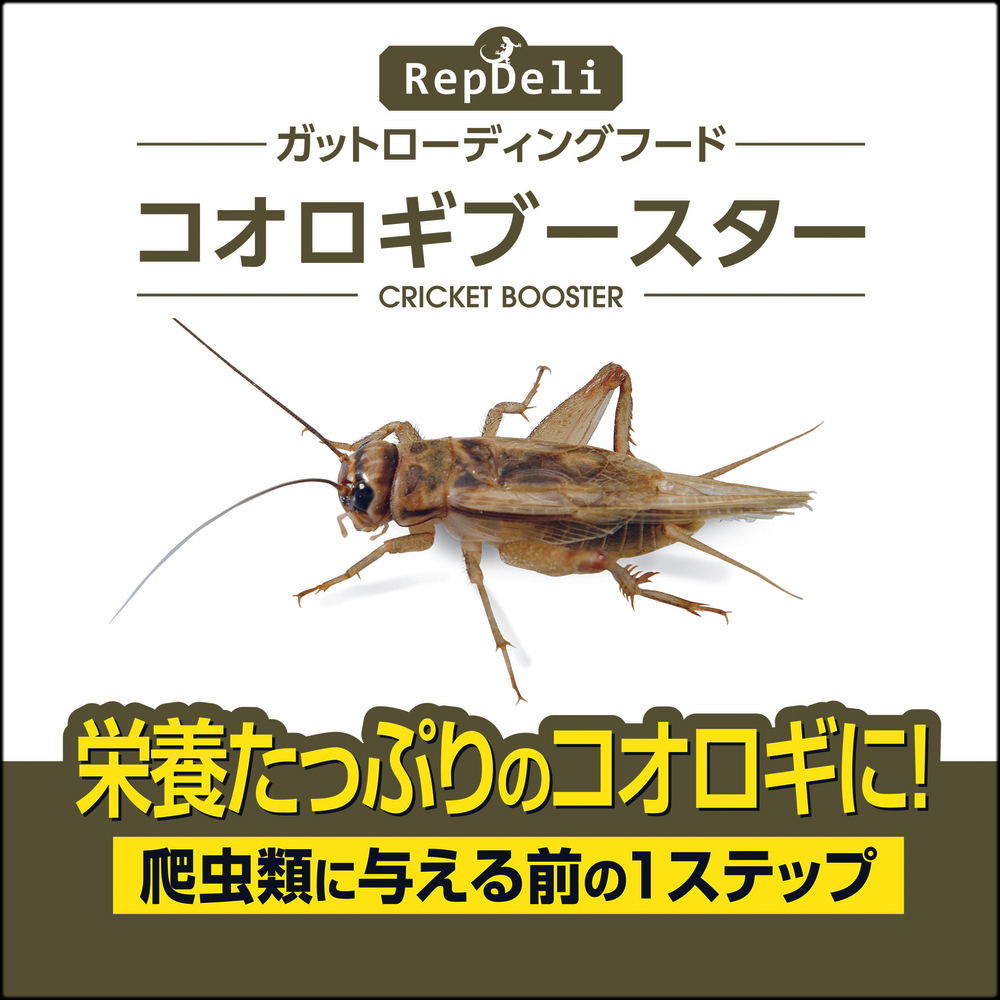 RepDeliコオロギブースター45g　エキゾテラ