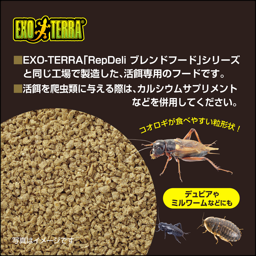 RepDeliコオロギブースター45g　ジェックス