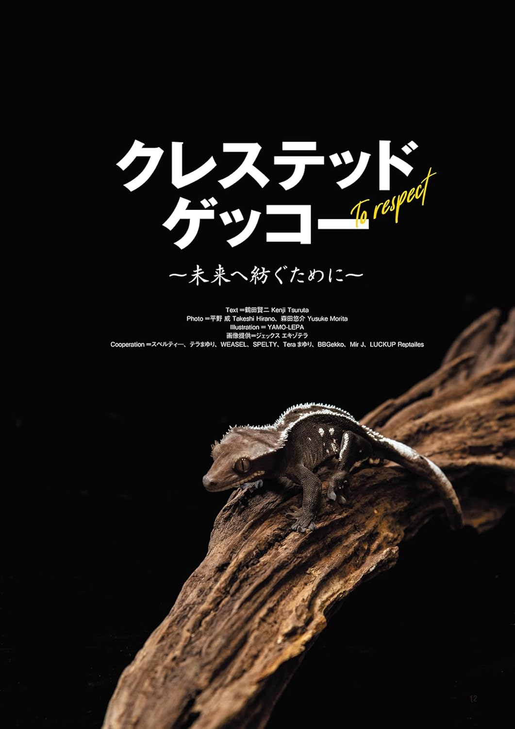 レプファン Vol.28 クレス