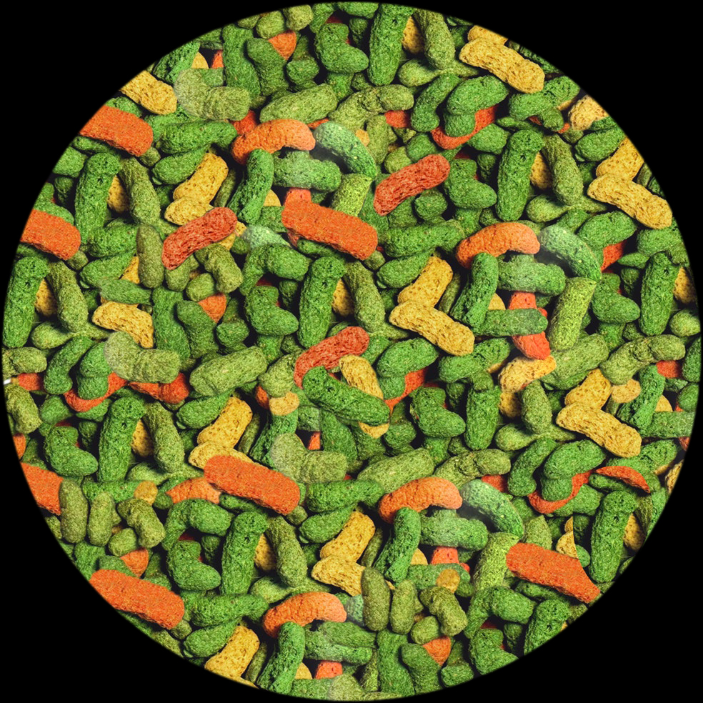 成体フトアゴヒゲトカゲフード 粒