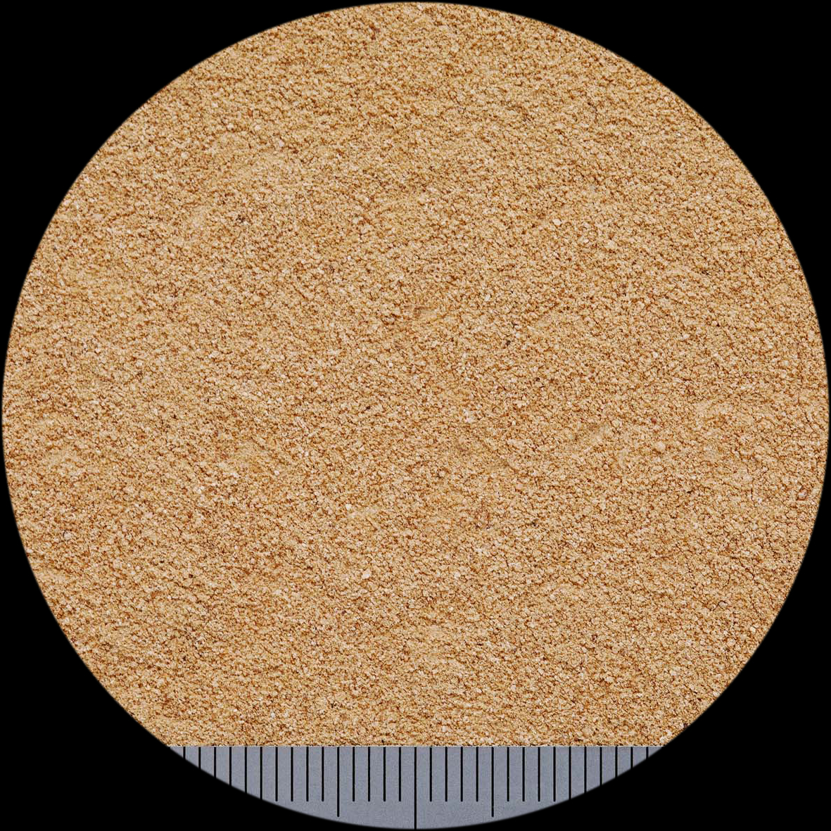 キンザイム100g 爬虫類用サプリパウダー