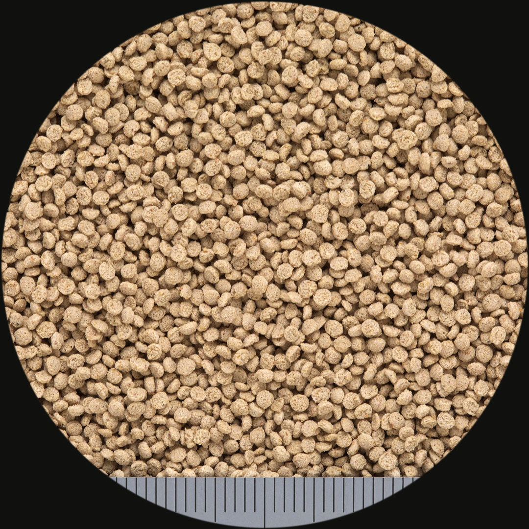 カルガット200g 粒の大きさ