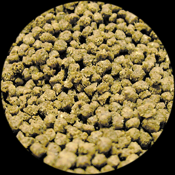 レップカルコオロギフード　中身