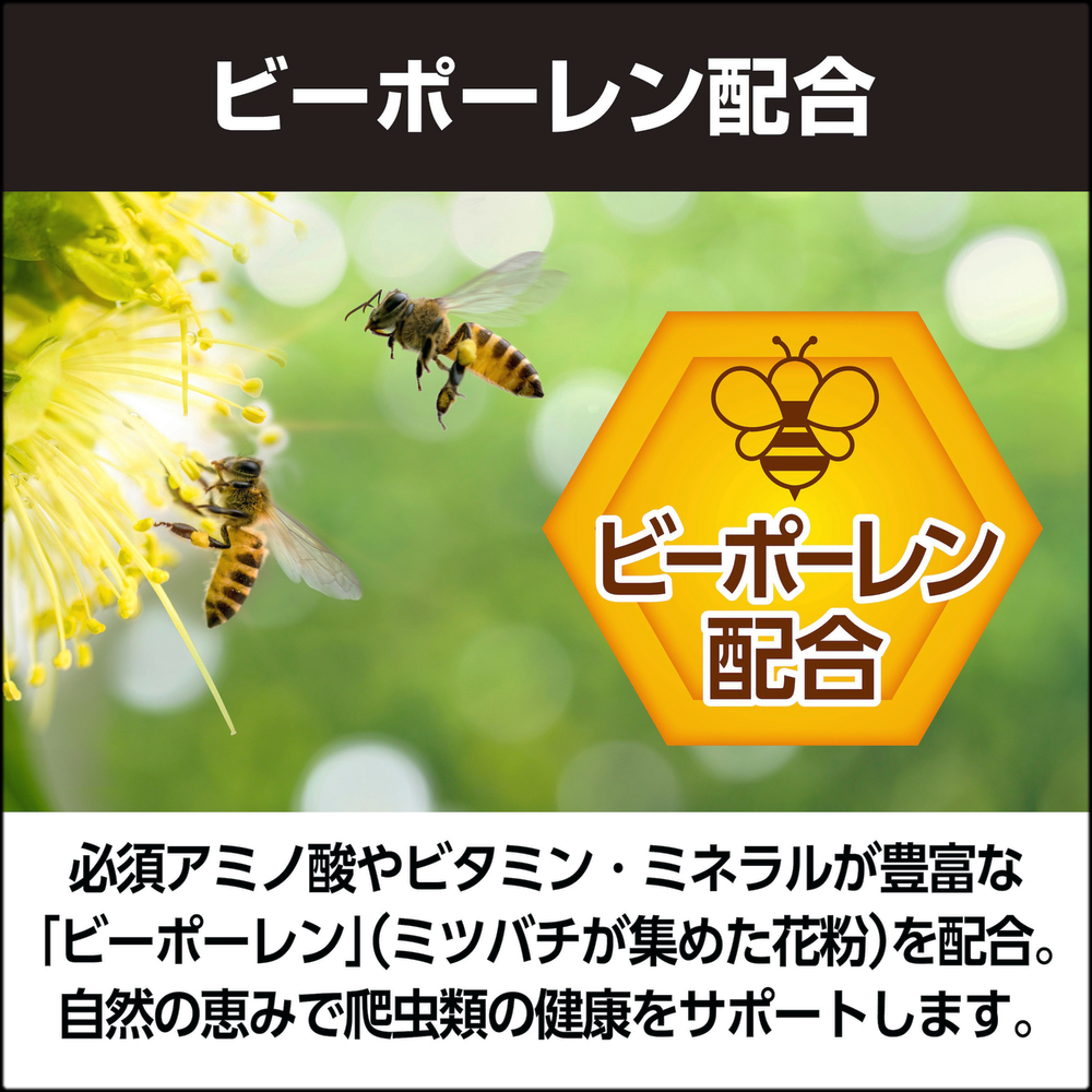 フルーツ&バグペーストりんご&パイン ビーポーレン