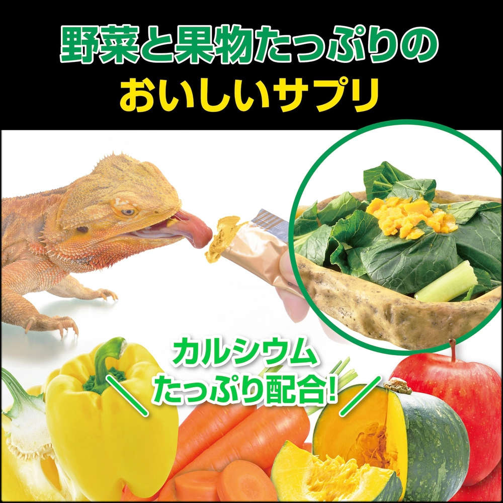 カルシウムペースト乳酸菌プラス カルシウムたっぷり配合
