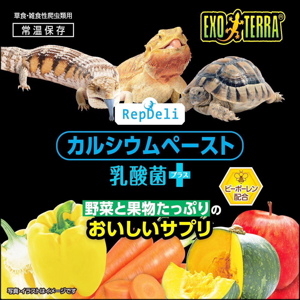 カルシウムペースト乳酸菌プラス 野菜と果汁たっぷりのおいしいサプリ