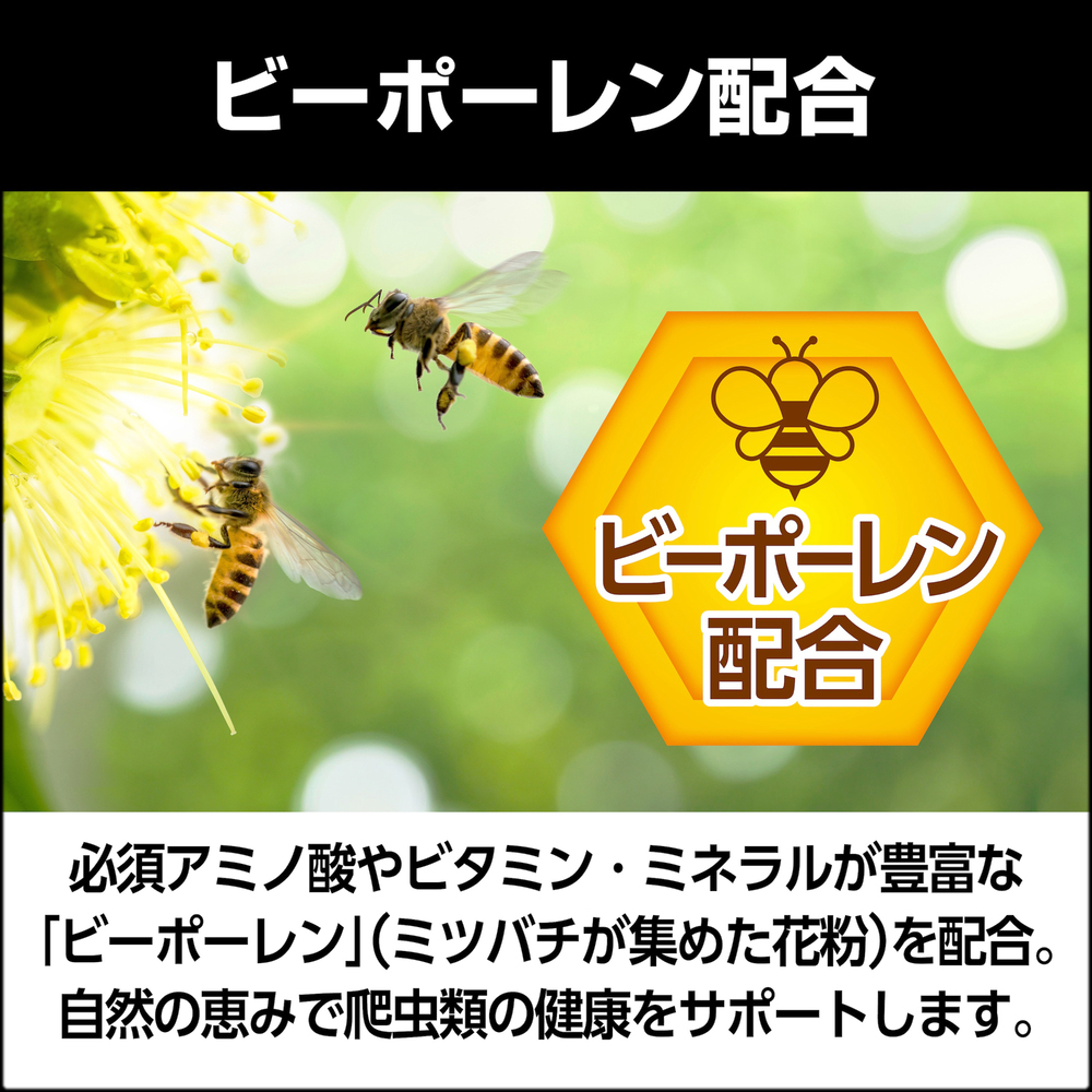 カルシウムペースト乳酸菌プラス ビーポーレン配合