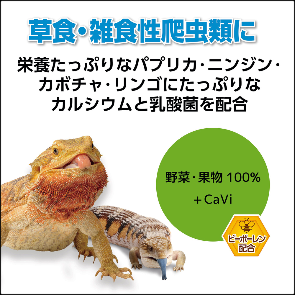 カルシウムペースト乳酸菌プラス 草食・雑食性爬虫類に
