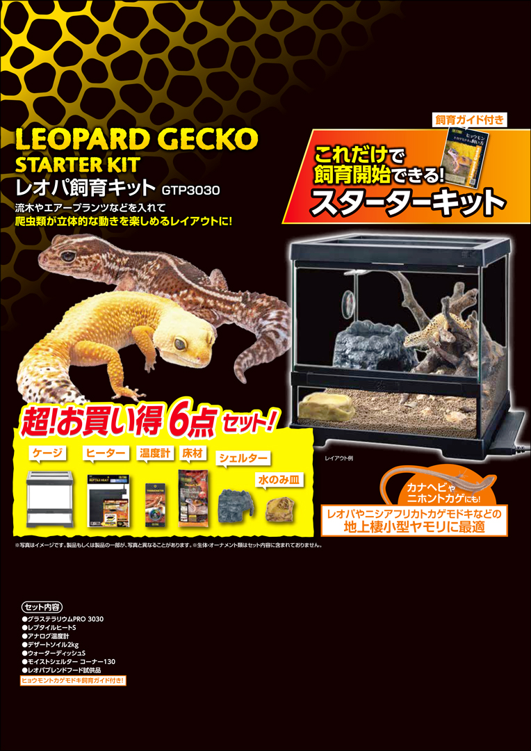 レオパ飼育キットGTP3030　エキゾテラ