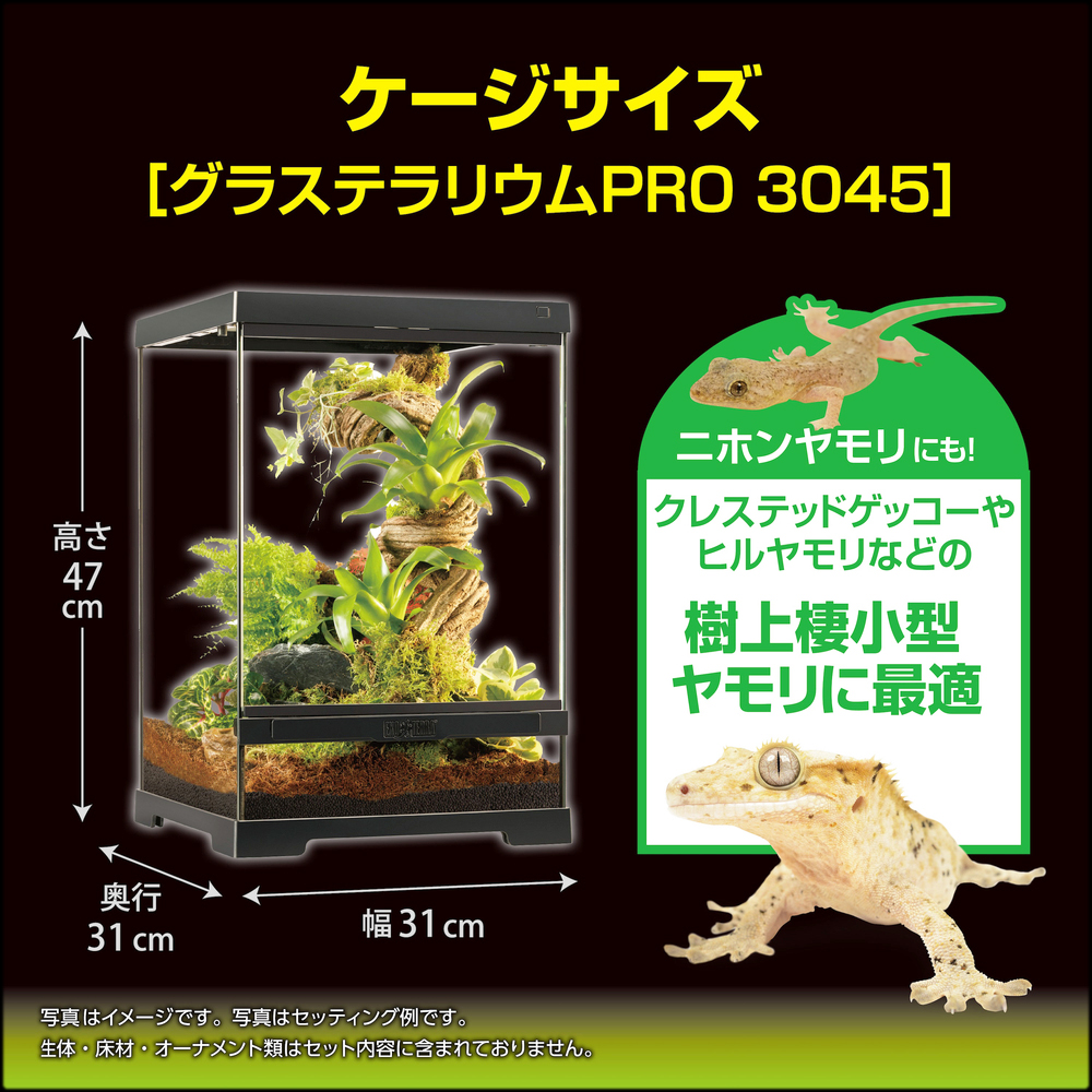 クレス飼育キットGTP3045　樹上棲小型ヤモリに最適