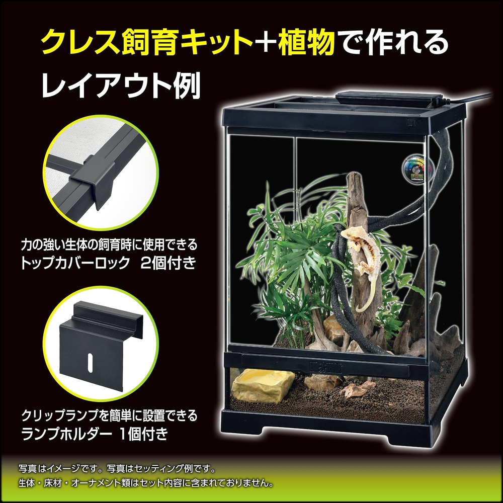 クレス飼育キットGTP3045　レイアウト例