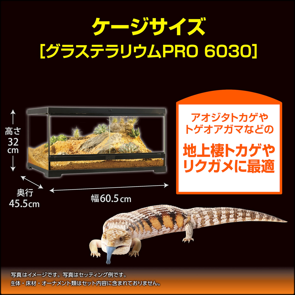 フトアゴ&リクガメ飼育キットGTP6030　地上棲トカゲやリクガメに最適
