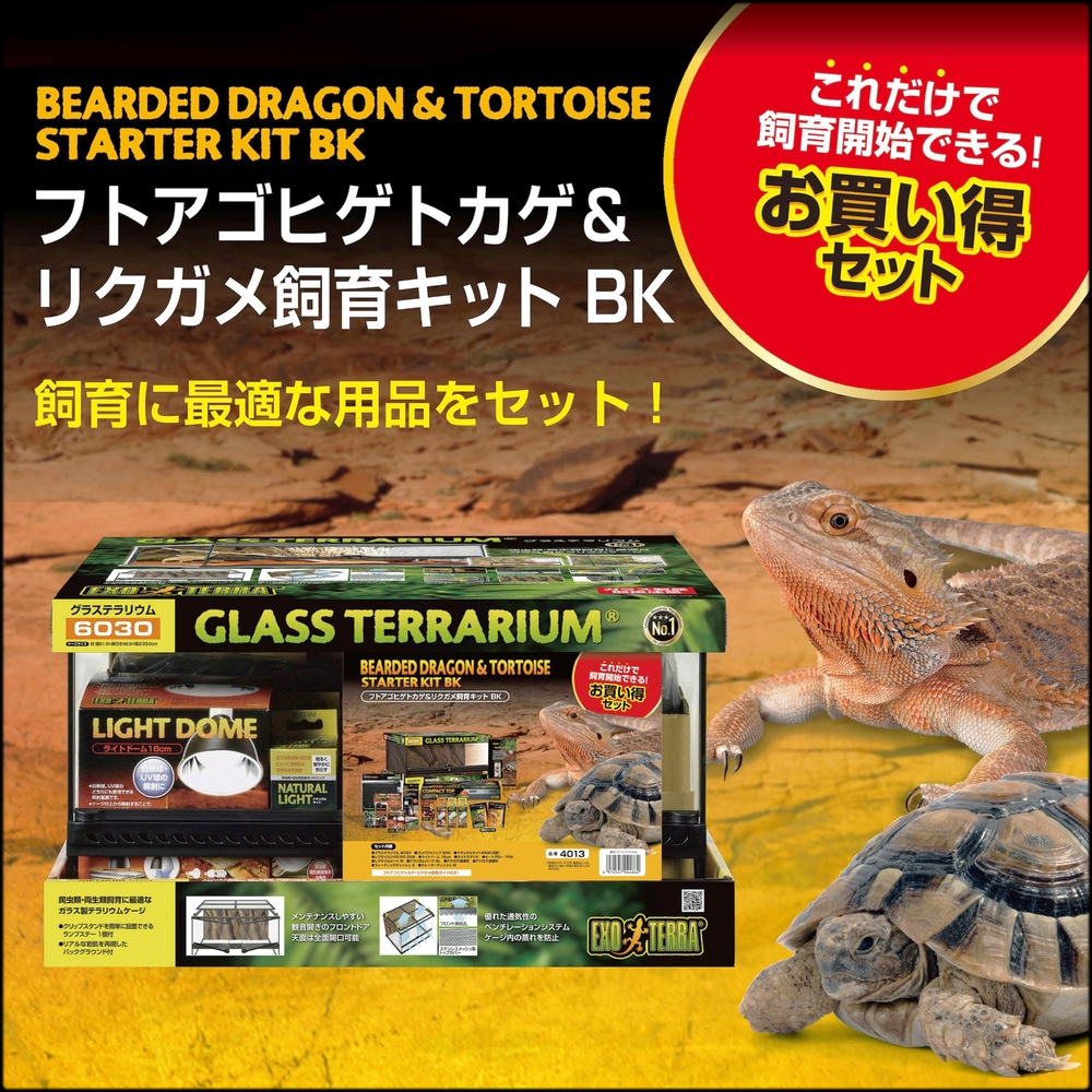 フトアゴヒゲトカゲ＆リクガメ飼育キットBK　お買い得セット