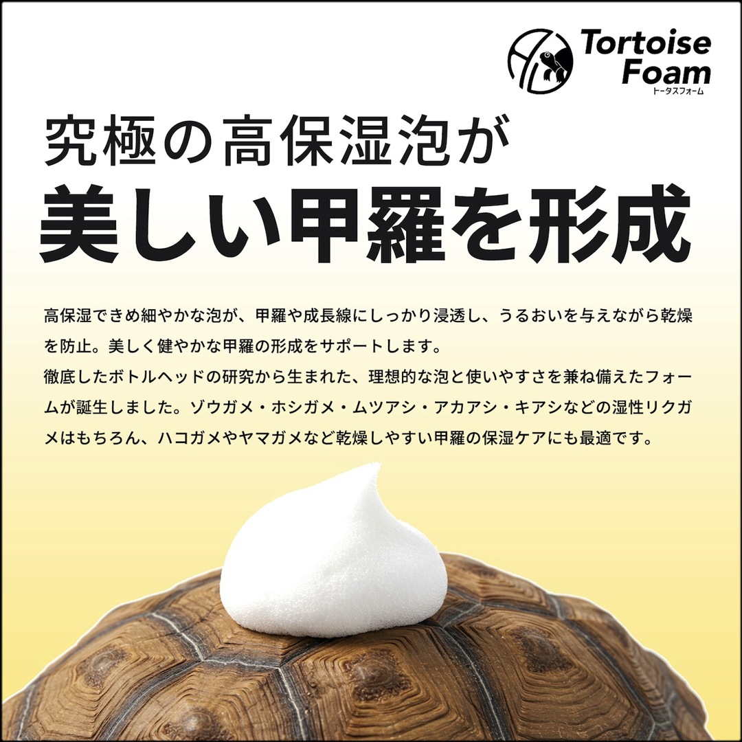 トータスフォーム 美しい甲羅を形成