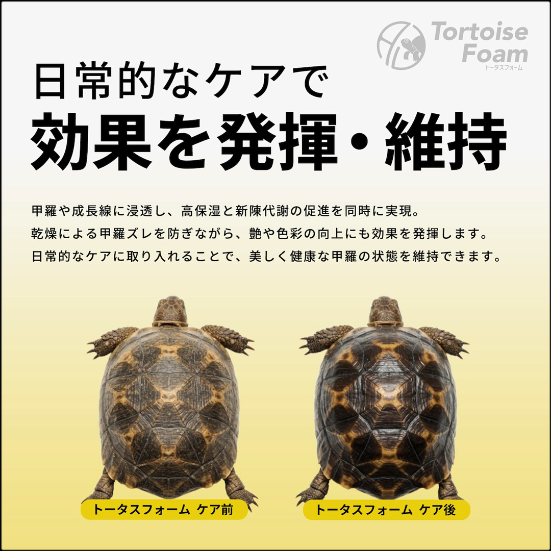 トータスフォーム 日常的なケアで効果を発揮・維持