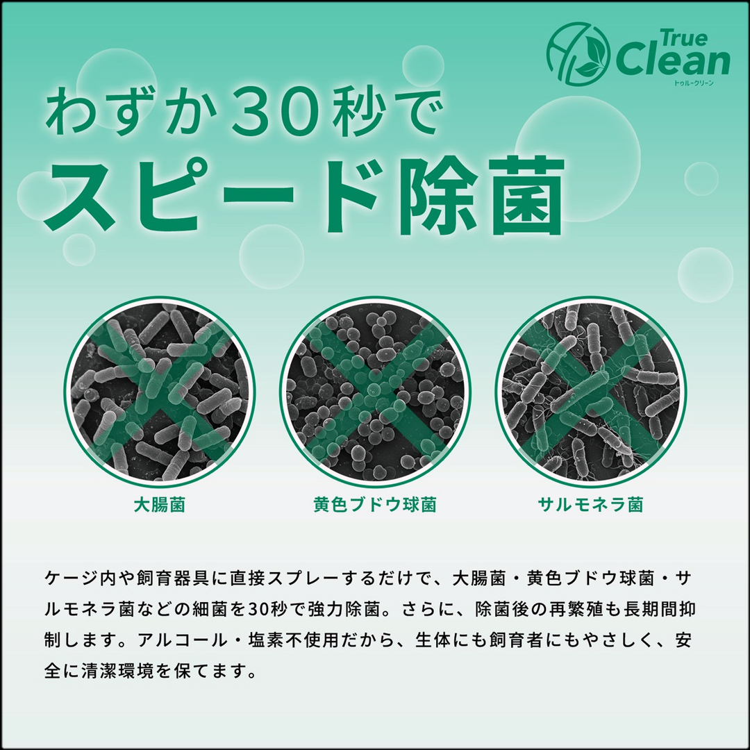 トゥルークリーン　スピード除菌