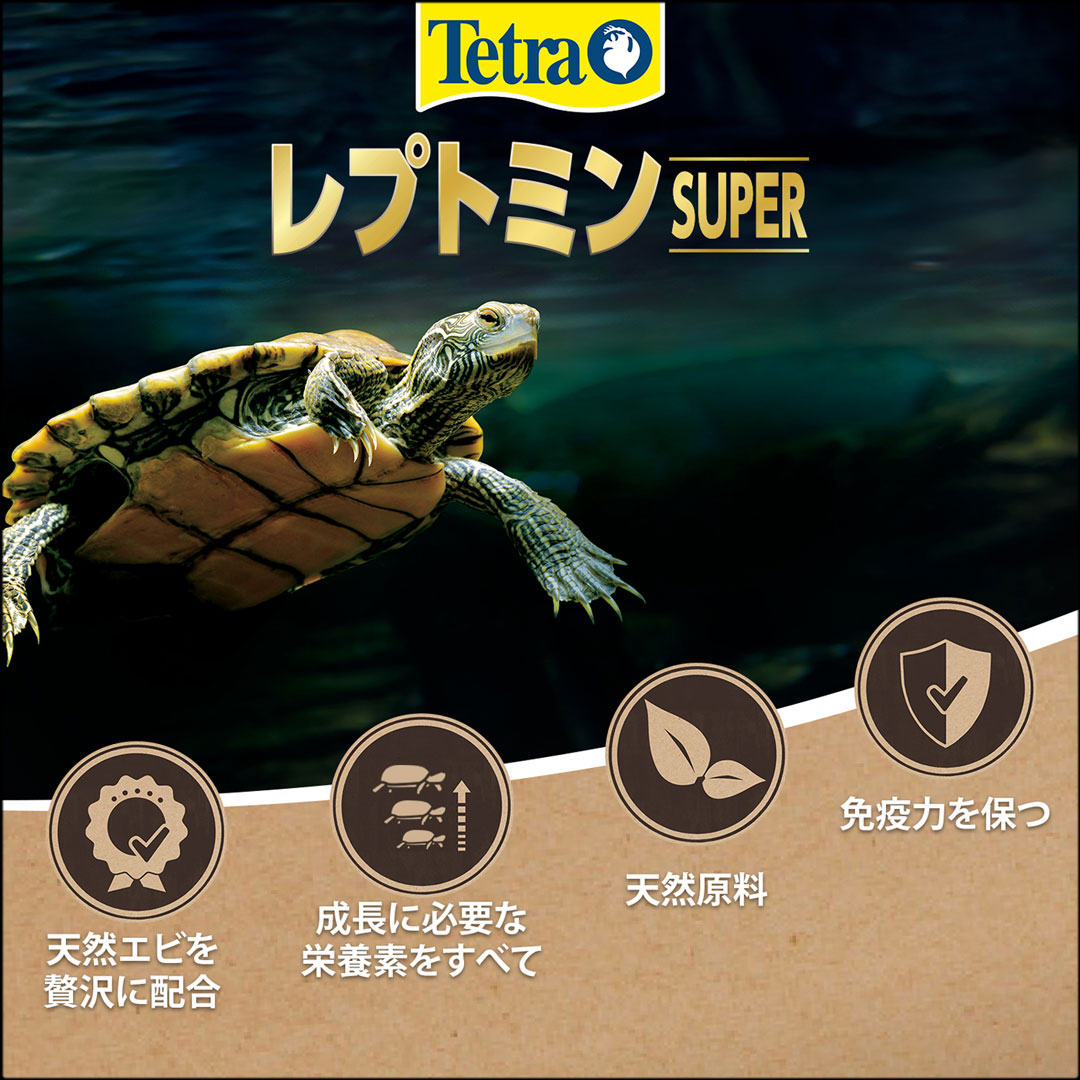 テトラレプトミンスーパー中粒160g　テトラ