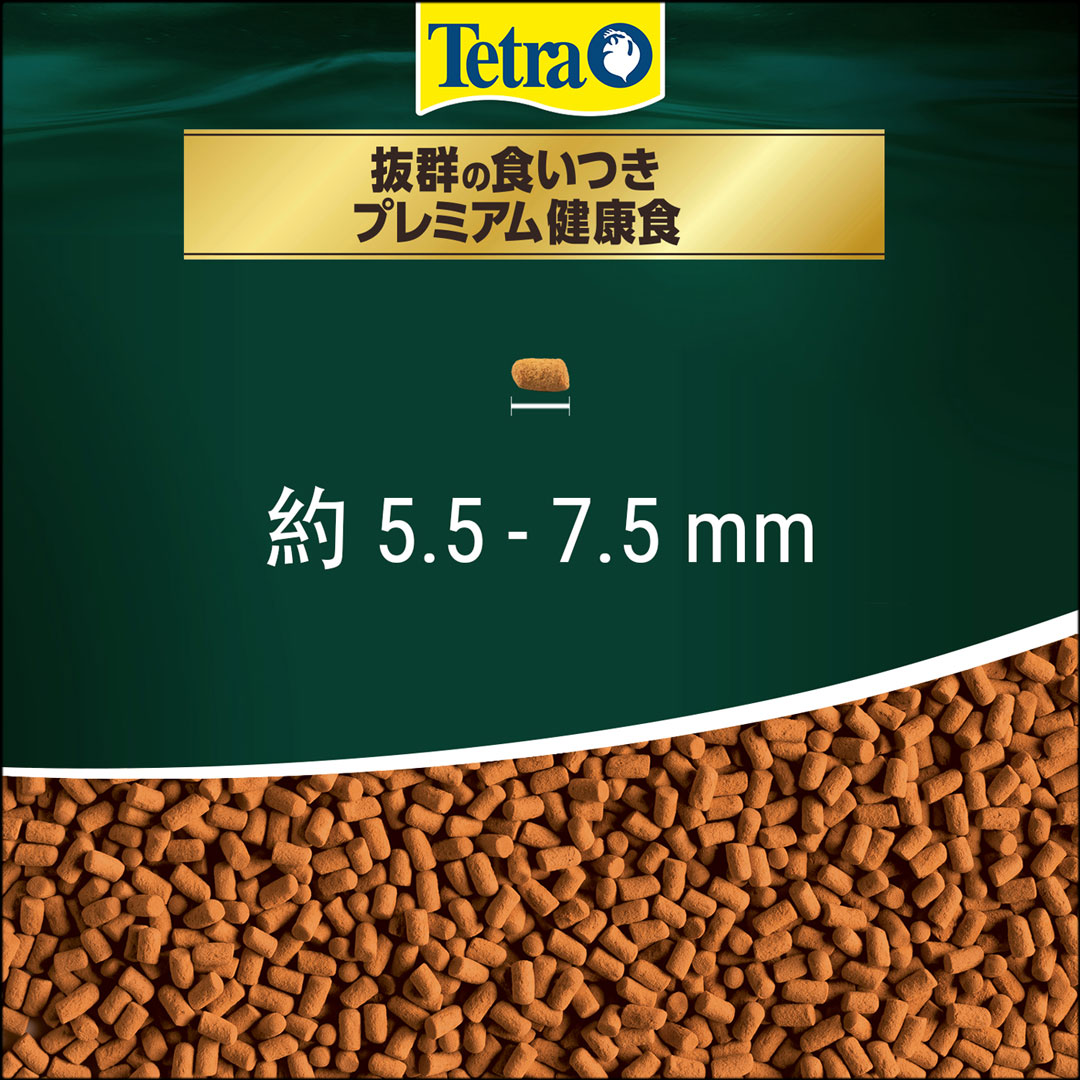 テトラレプトミンスーパー中粒　サイズ