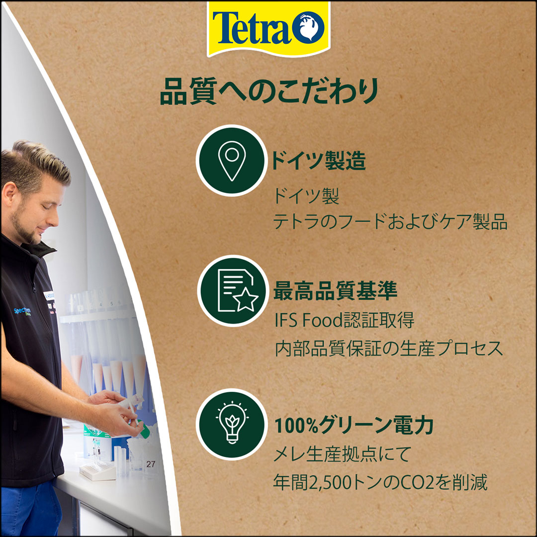 テトラレプトミンスーパー大粒260g　こだわり