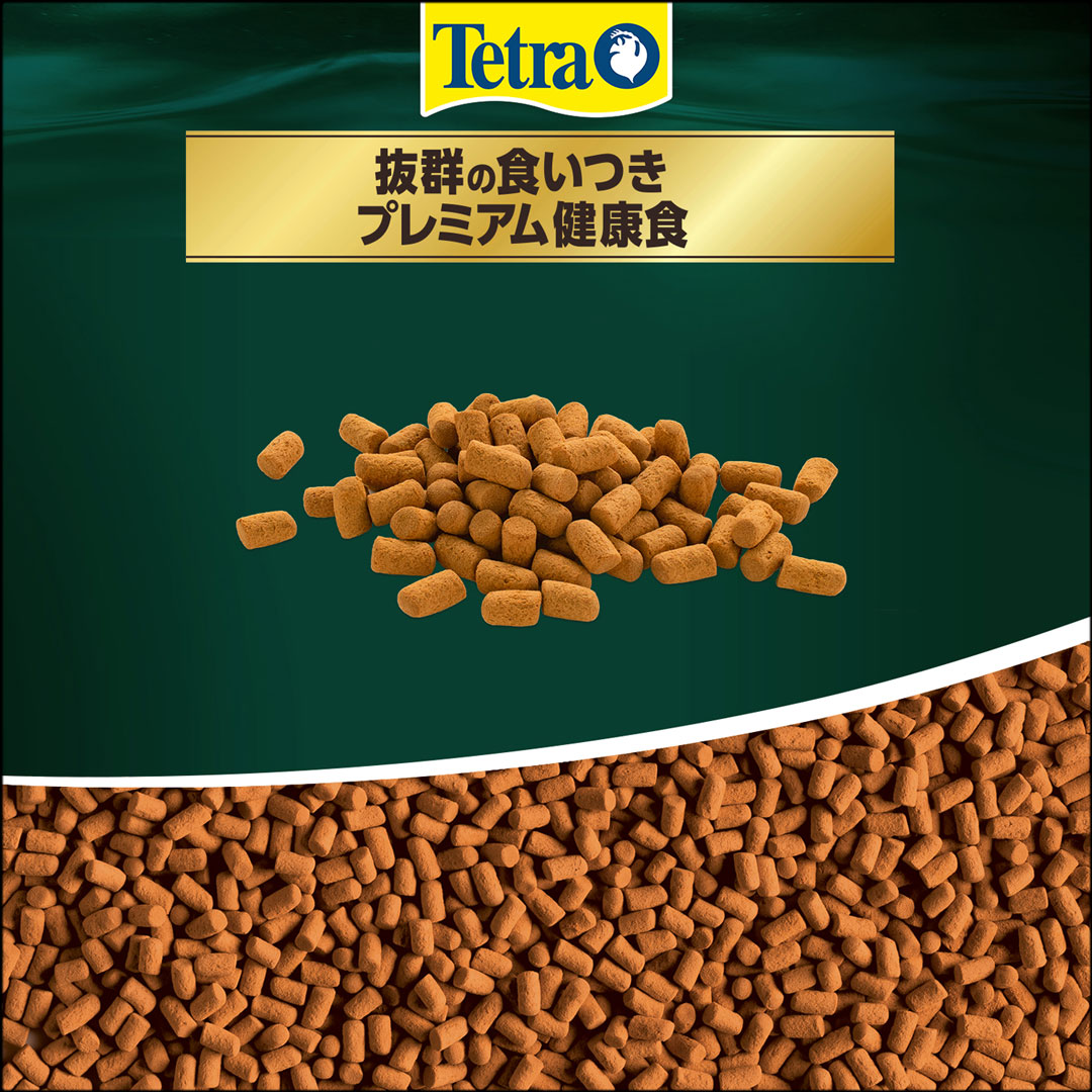 テトラレプトミンスーパー大粒　サイズ