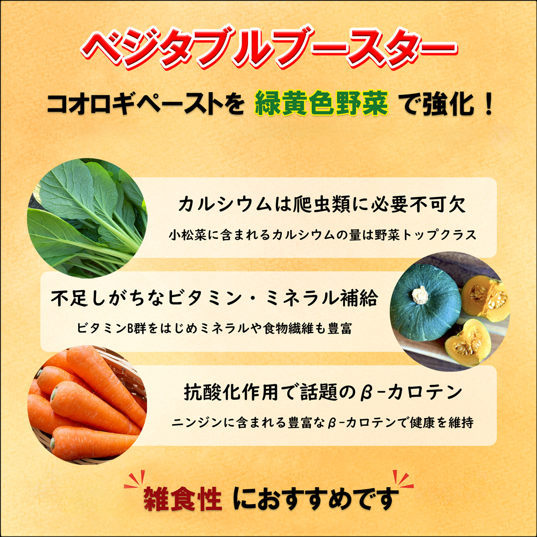 コオロギペースト緑黄色野菜ベジタブルブースター　雑食性爬虫類におすすめ