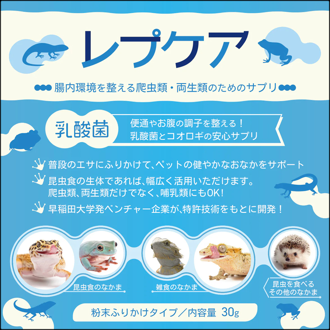 レプケア30g　エコロギー