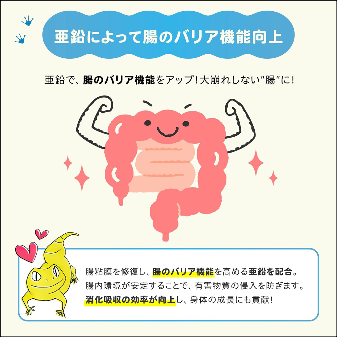 レプケア30g　腸のバリア機能