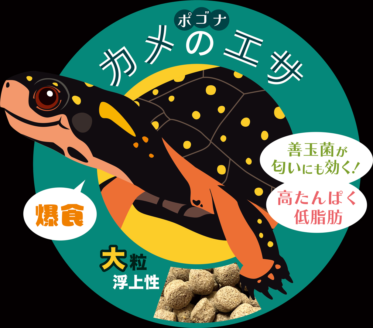 ポゴナカメのエサ大粒120g浮上性　ポゴナ・クラブ