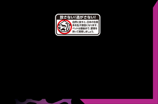 テラスカイUVスライド10W パッケージ底面