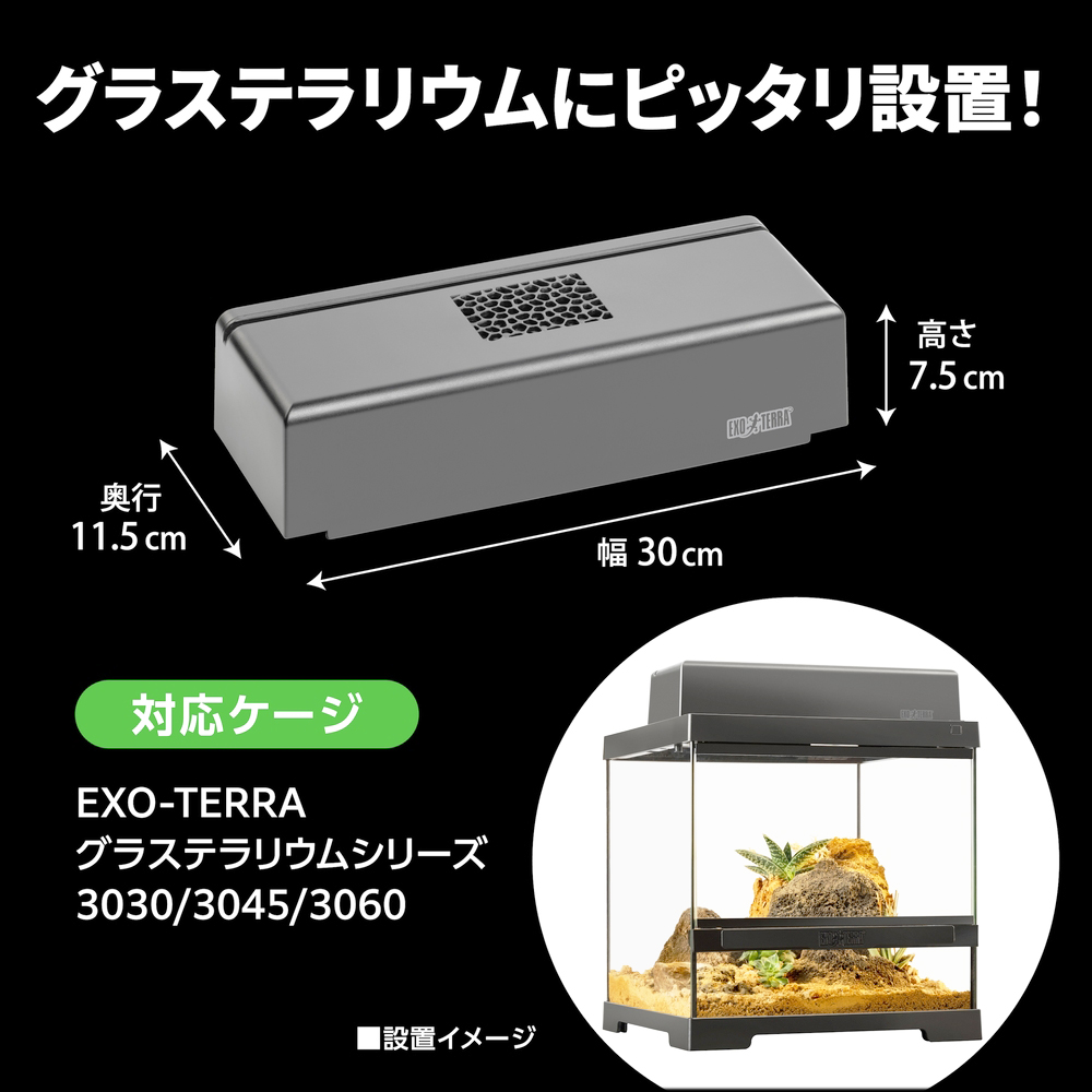 コンパクトトップ30N　エキゾテラ
