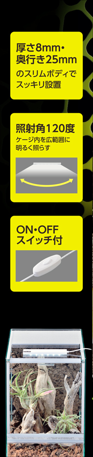 デイサイクルLED S パッケージ左面