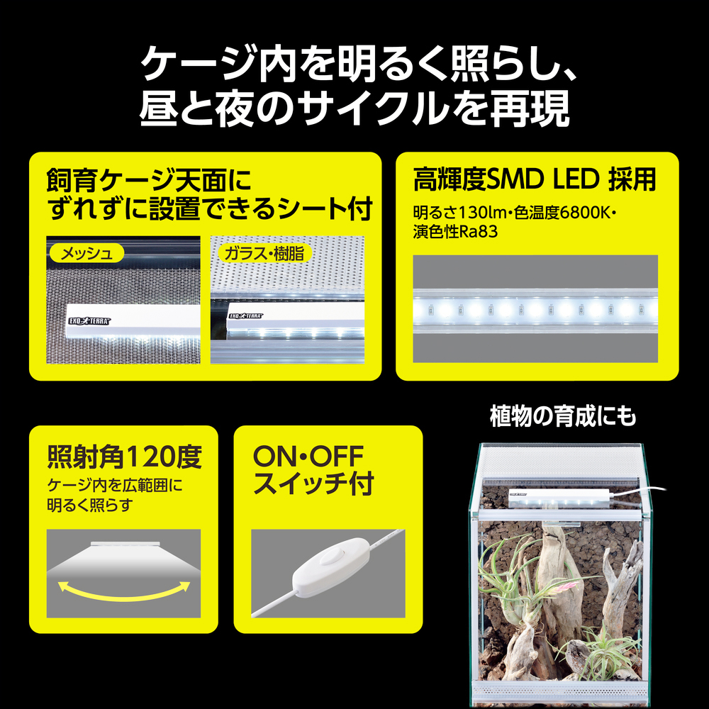 デイサイクルLED 昼と夜のサイクルを再現