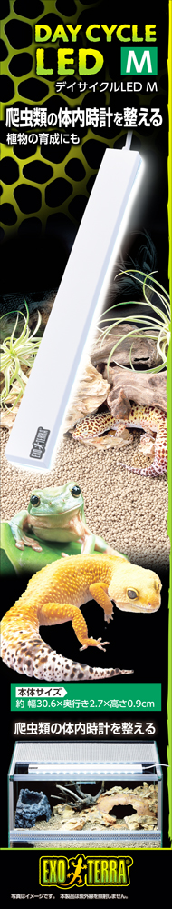 デイサイクルLED M　パッケージ正面