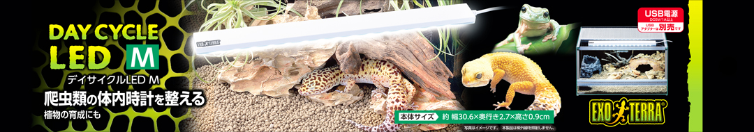 デイサイクルLED M　パッケージ裏面