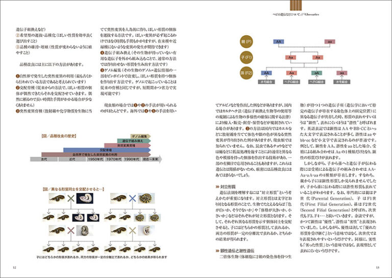 ヘビ品種図鑑　遺伝
