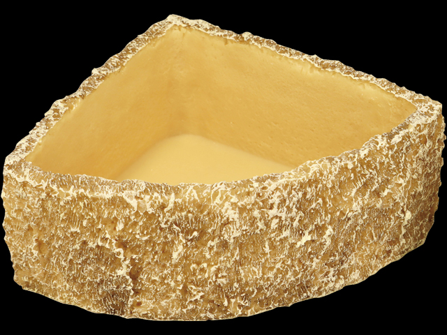 スネークウォーターディッシュコーナーL