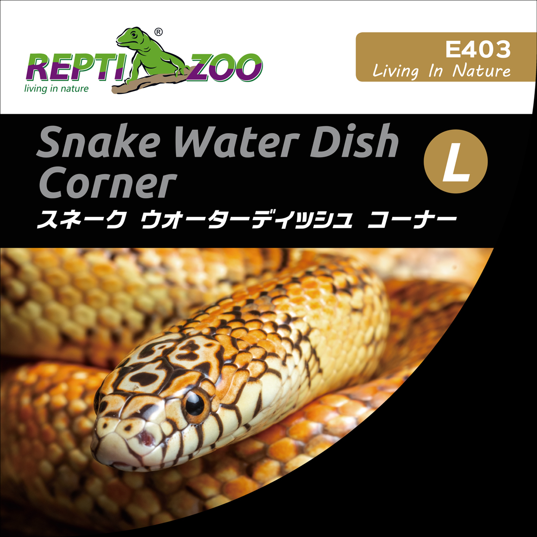 スネークウォーターディッシュコーナーL　レプティズー