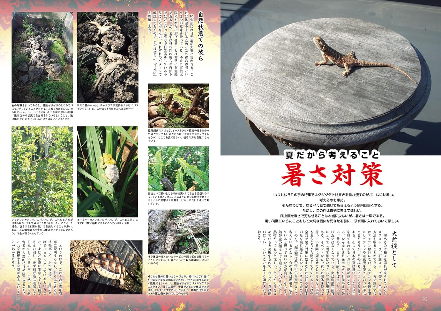 暑さ対策