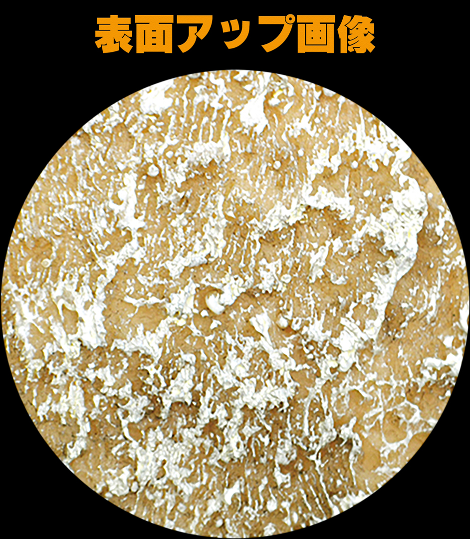 スネークウォーターディッシュコーナー　表面