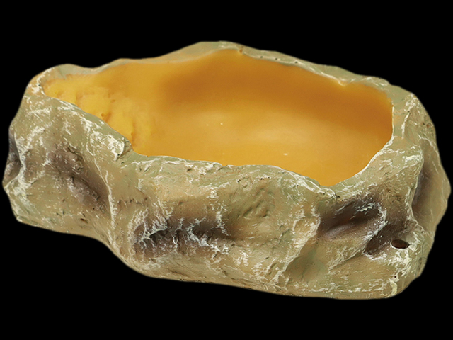 ウォーターディッシュXS