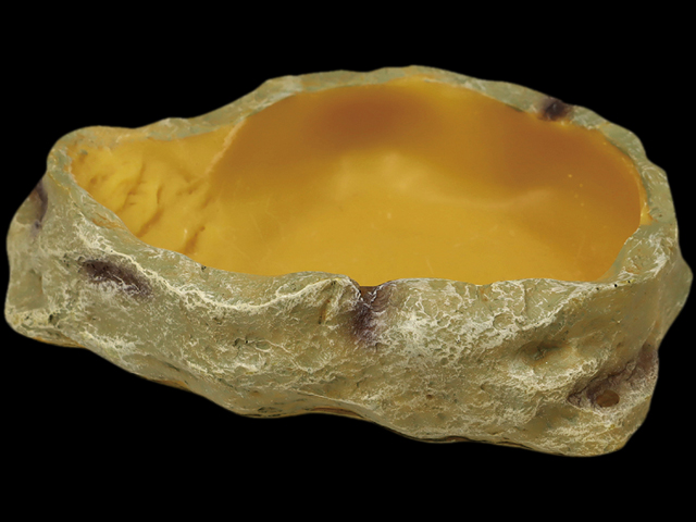 ウォーターディッシュS