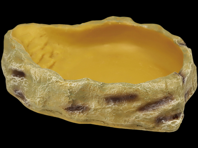 ウォーターディッシュM