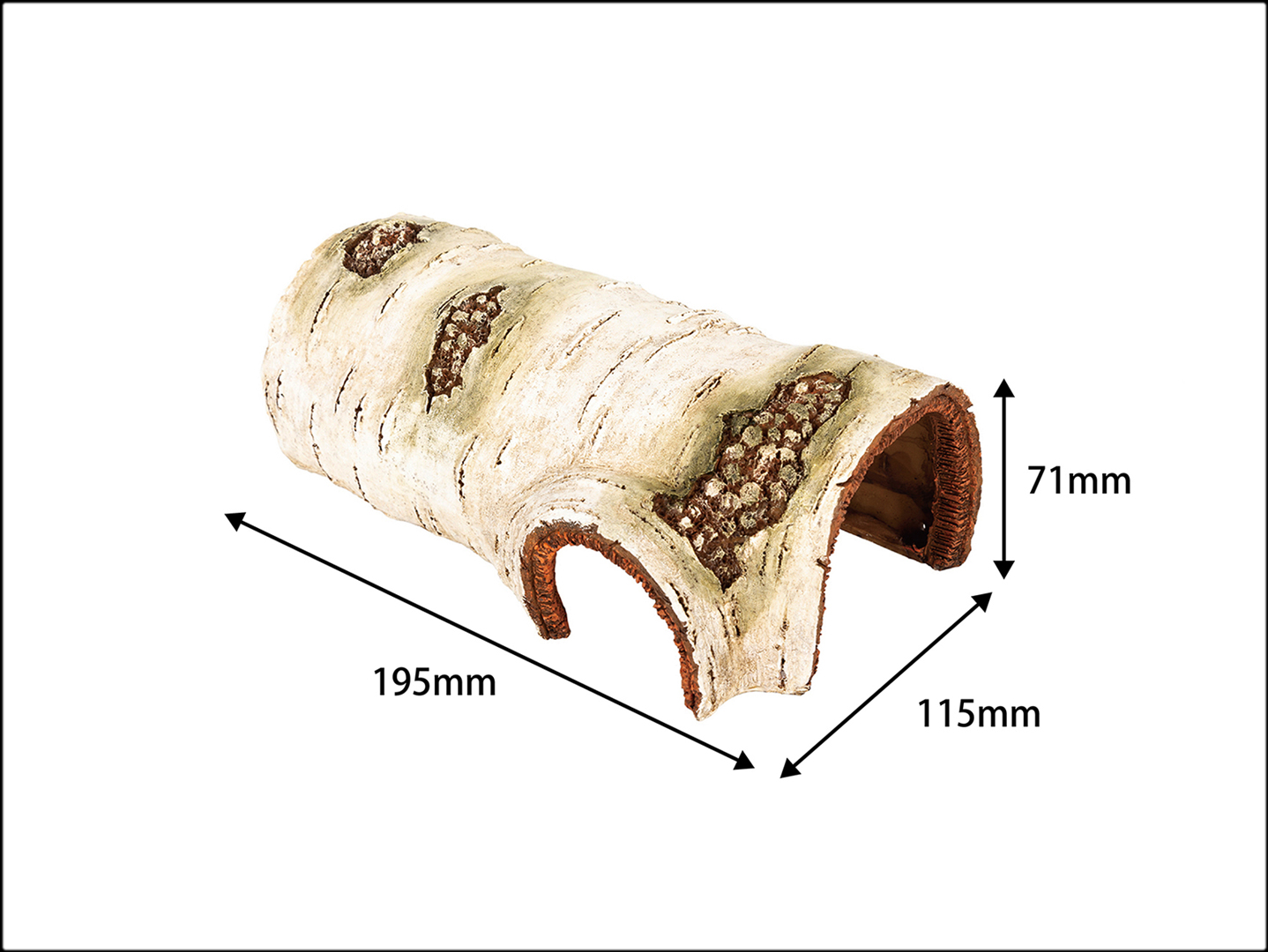 ポプラハイドケーヴM　大きさ