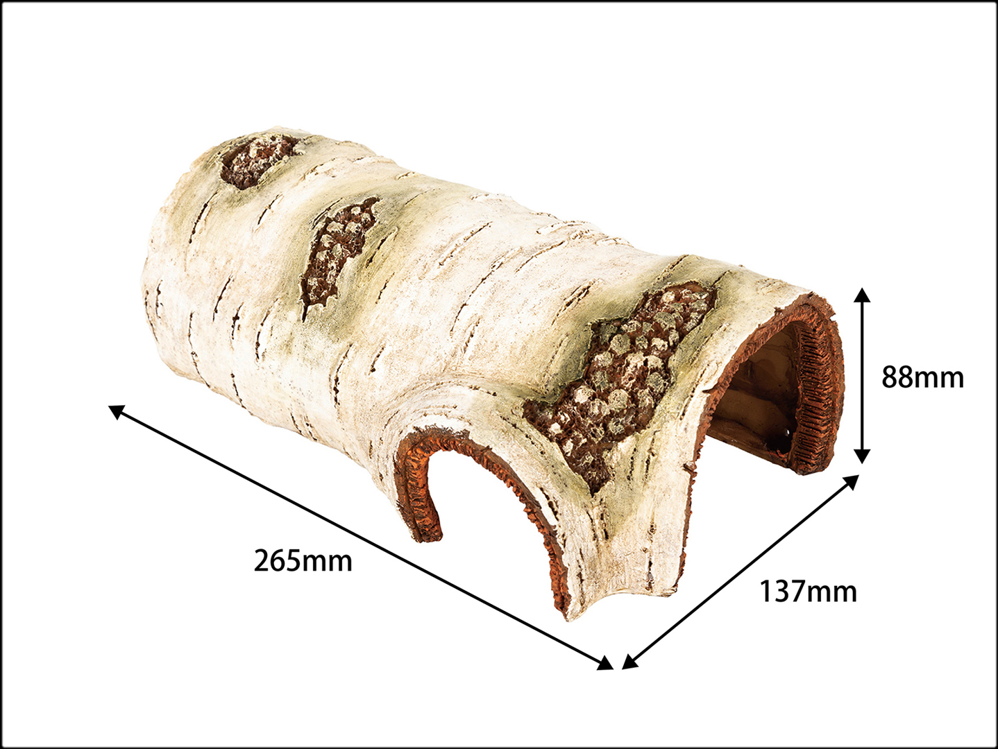 ポプラハイドケーヴL　大きさ