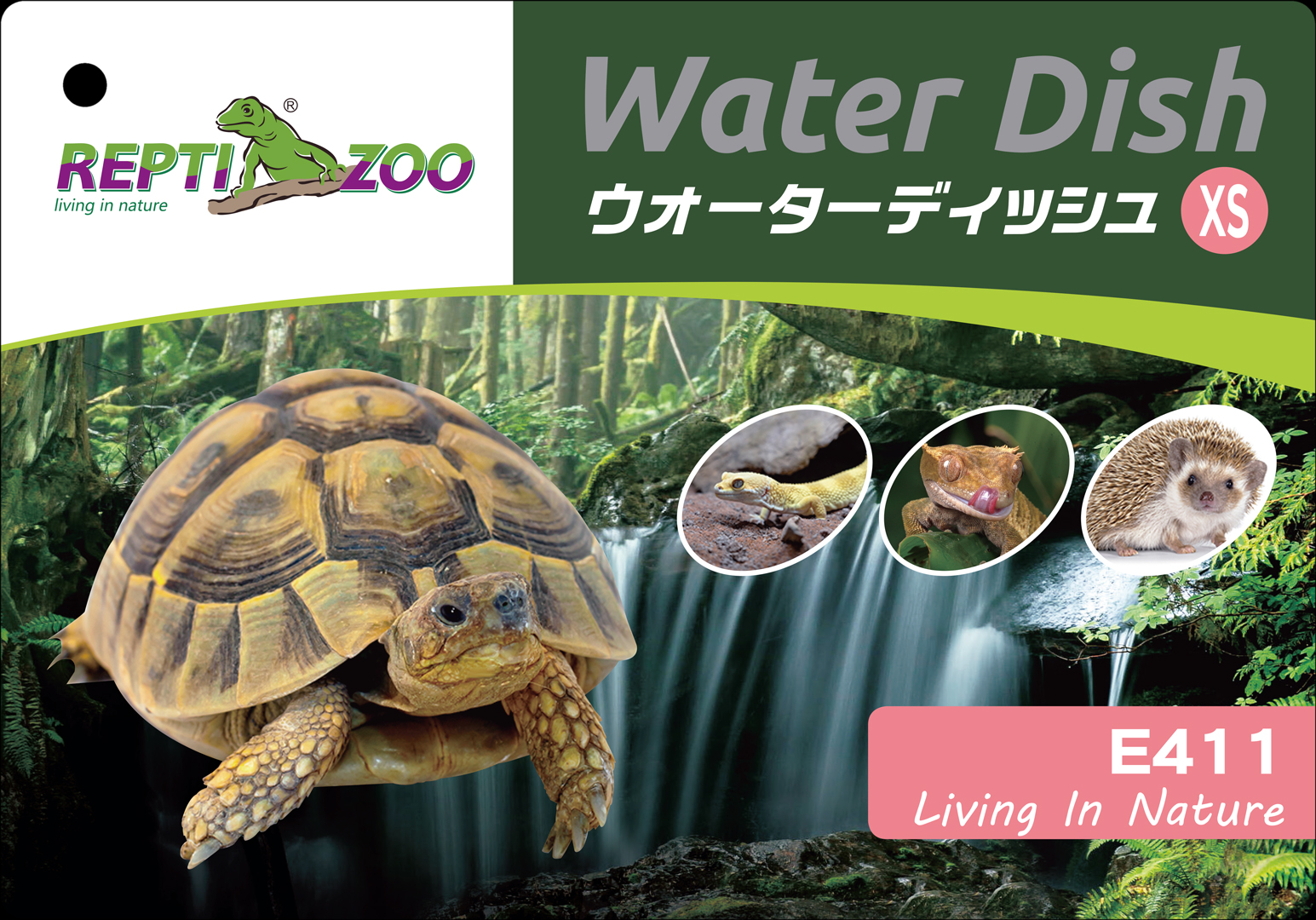 ウォーターディッシュXS　レプティズー
