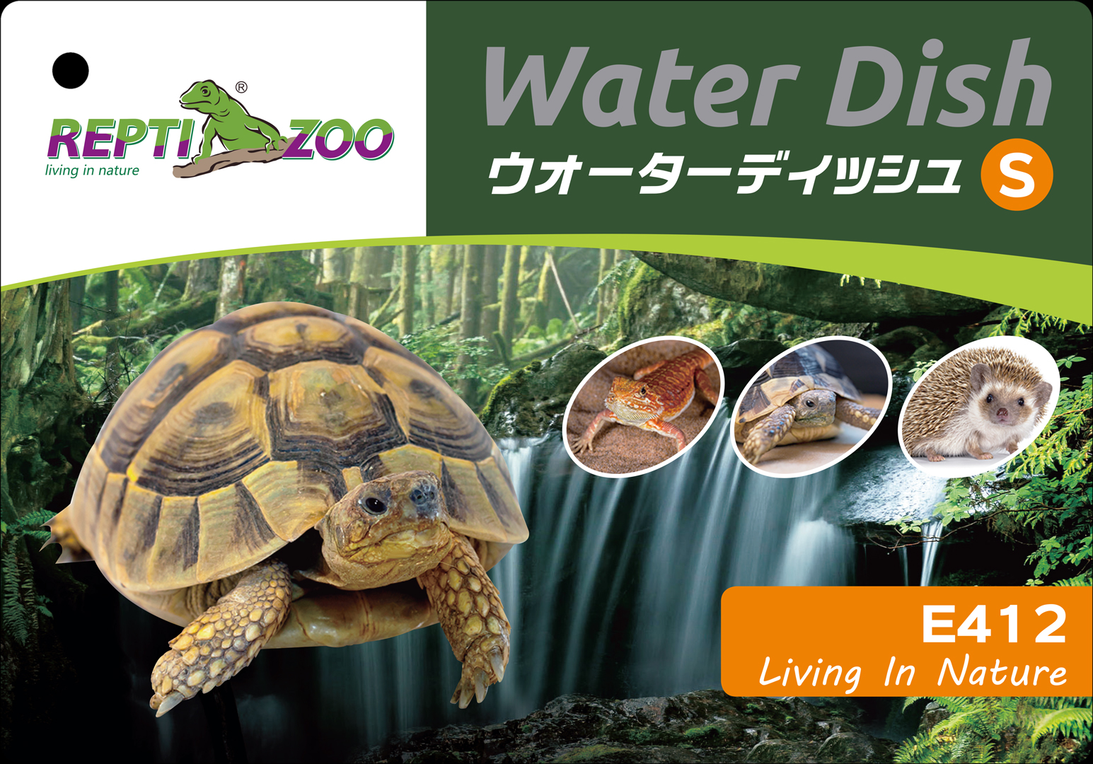ウォーターディッシュS　レプティズー
