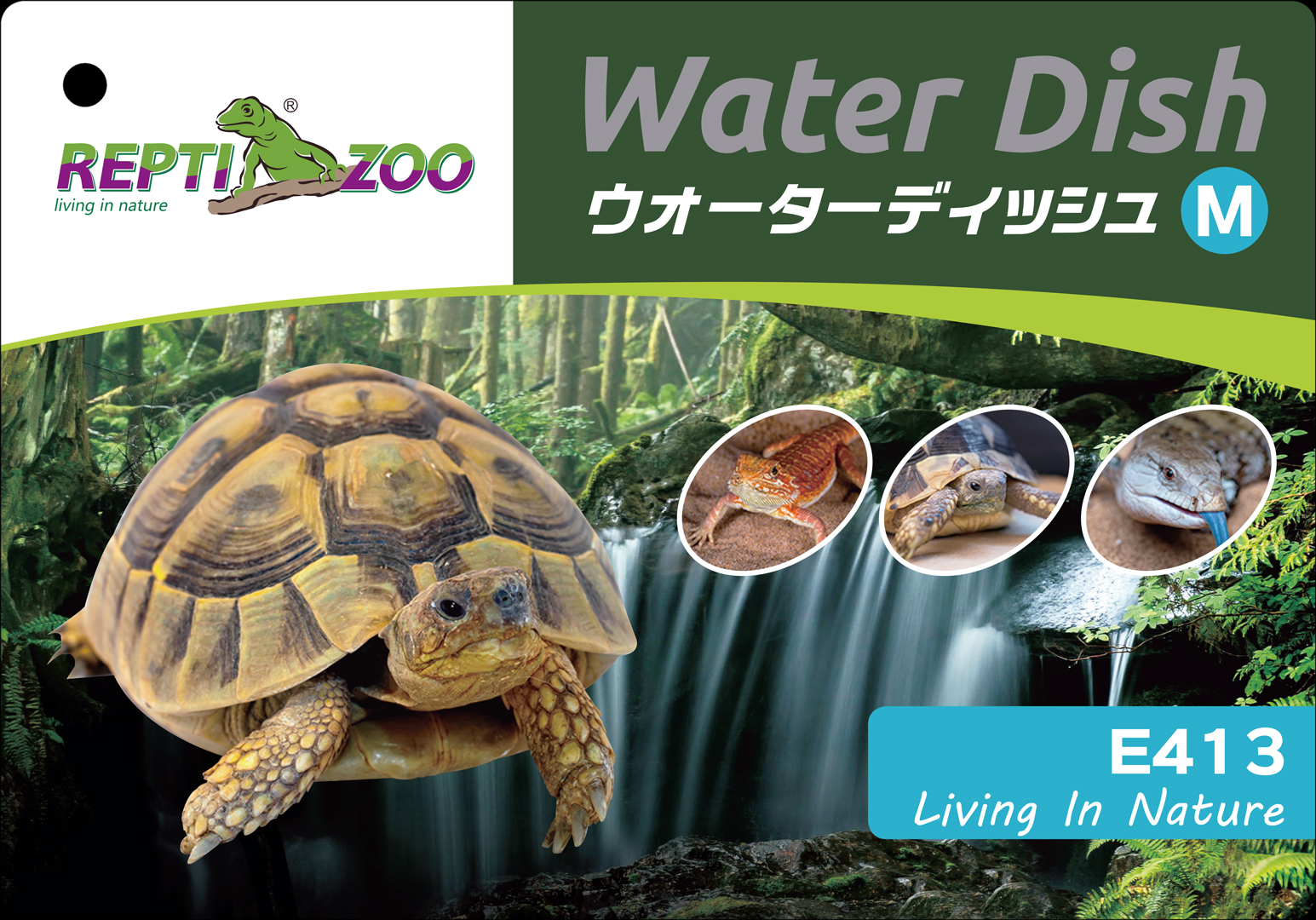 ウォーターディッシュM　レプティズー