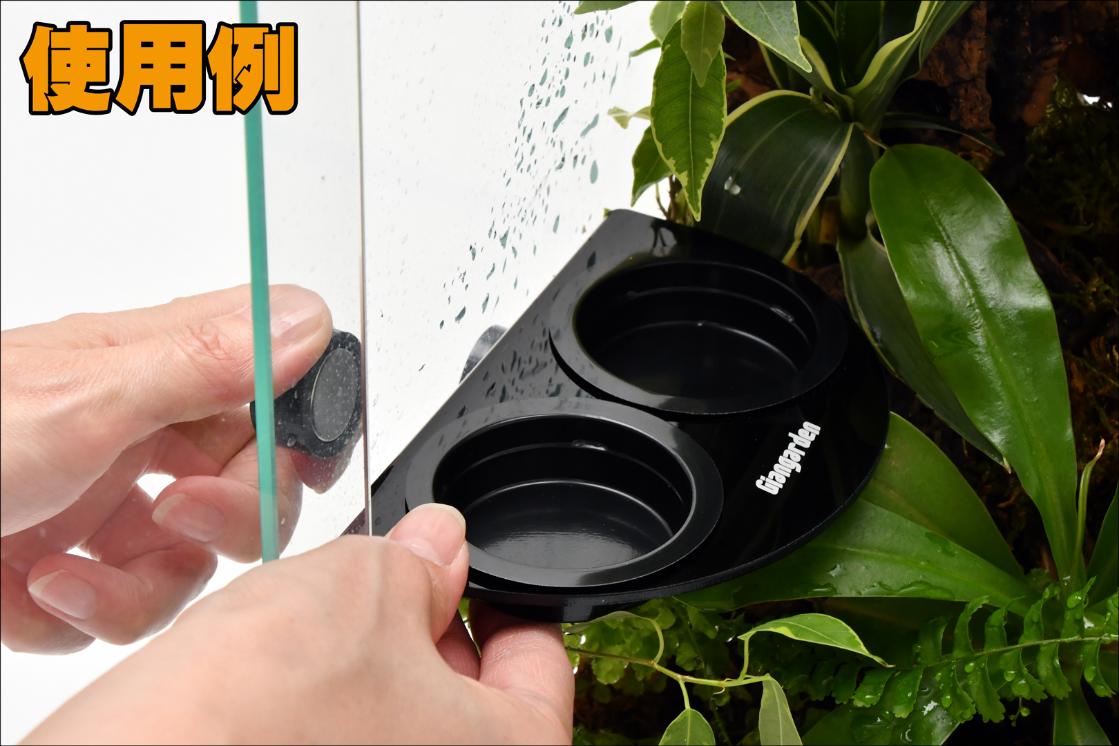 マグネティックレプタイルフィーダー　磁石で挟み込む